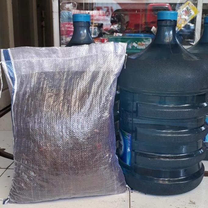 Newton- Media Tanam Andam Alitas , Andam 3Kg, Andam Karungan, Grosir