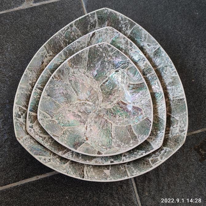 `````````] shell plate abalone / piring kerang abalone ENAM