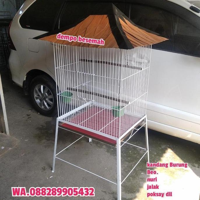 kandang burung beo ukuran besar/kandang burung Beo/kandang burung nuri