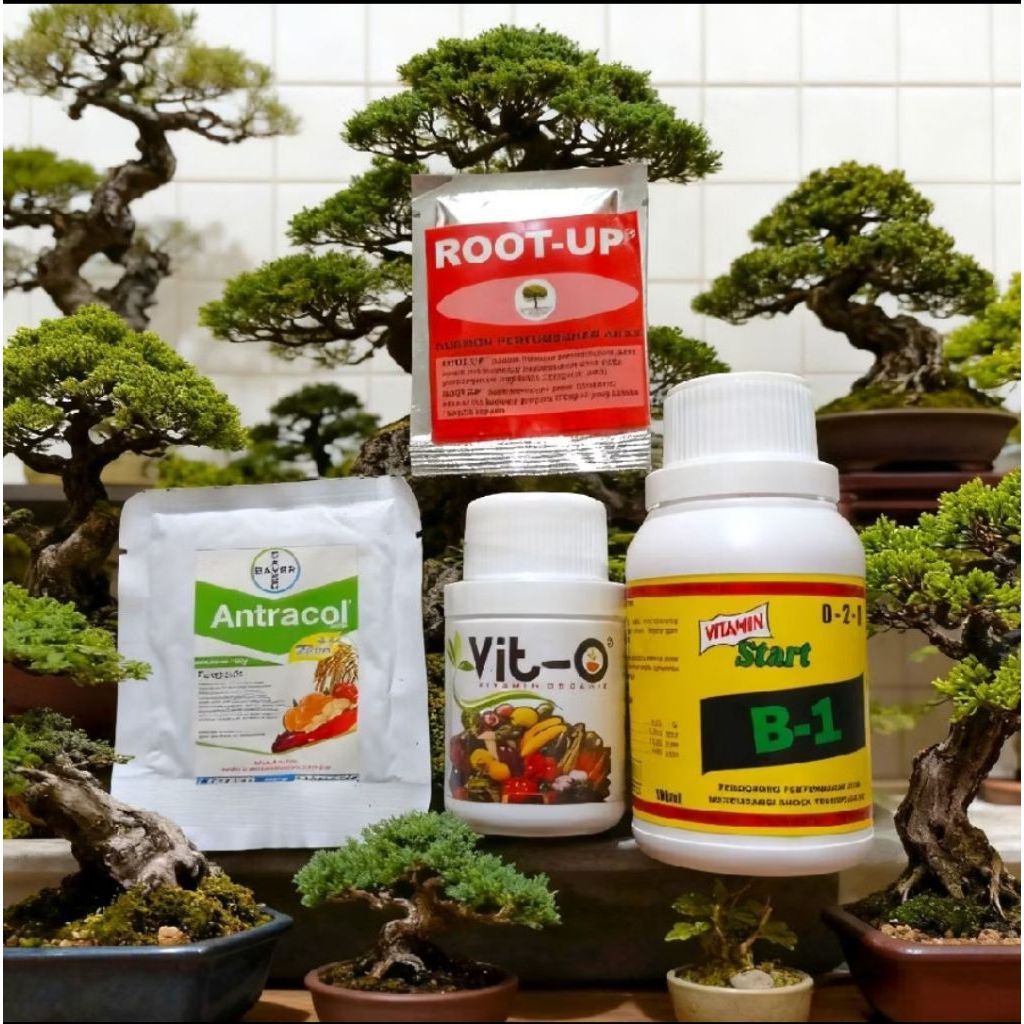 Paket Nutrisi Bonsai 4 in 1 - Vitamin B1 + Root Up + Vit-O + Fungisida Antracol