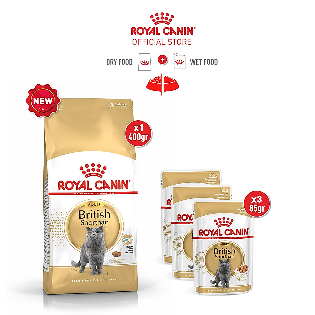 Royal Canin British Shorthair Adult (0.4kg) Dry + British Shorthair Adult (85g x 3 packs) Wet Makana