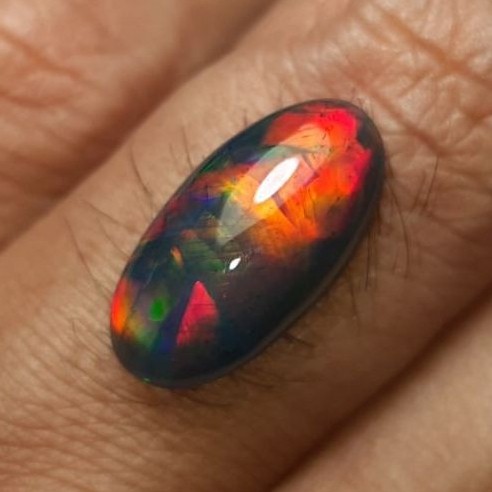Black opal jarong bendera