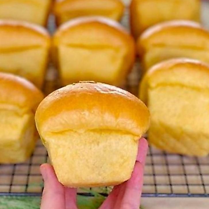 [ CHI ] Cetakan Roti Bruder / Bluder / Loyang Roti Bruder
