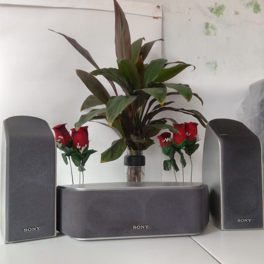 speaker surround sony