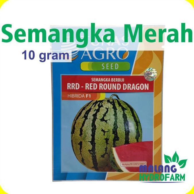 Benih Semangka Merah Rrd Red Round Dragon F1 10 Gram Tunas Agro Bibit Biji Unggul Buah Bulat Bali Fl