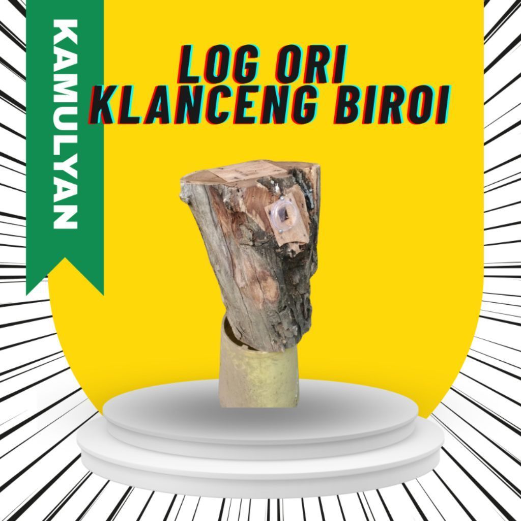 Log Ori  lebah Klanceng/ Trigona Biroi