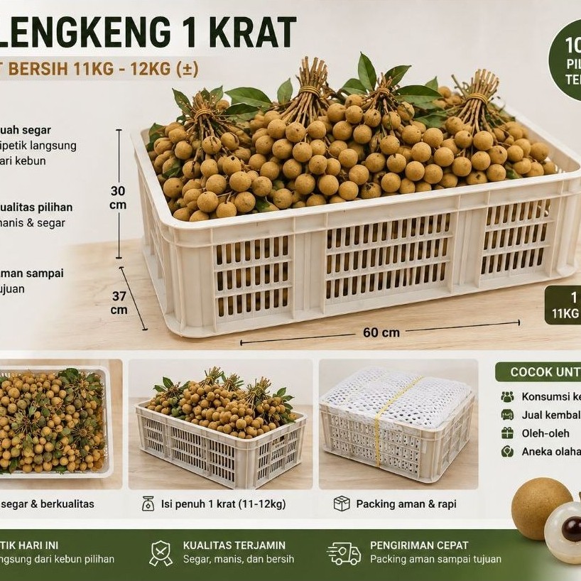 1 Krat Klengkeng kelengkeng Gold Super Tebal