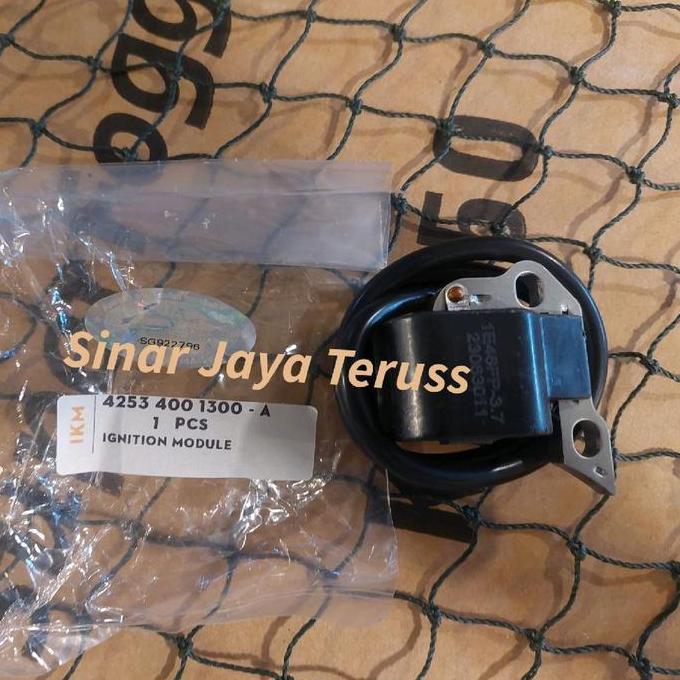 IGNITION COIL MISTBLOWER STHILL SR 5600 + SPARE PART MISTBLOWER STHILL SR 5600 ASLI