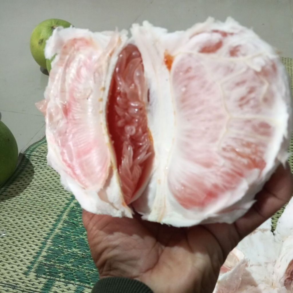 jeruk pamelo madu muria 700-900gr