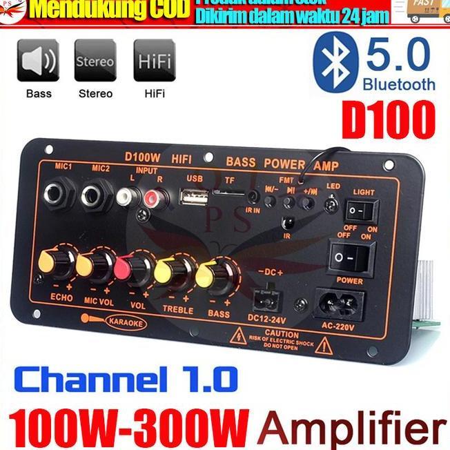 D100 Amplifier Board Bluetooth 5.0 Subwoofer 10 Inch 12Inch Diy 300C 220V 12V 24V Kit Mobil Hifi Amp