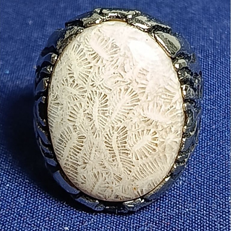 Natural Agatized Coral, WHITE / Batu Teratai, PUTIH, LIPAN