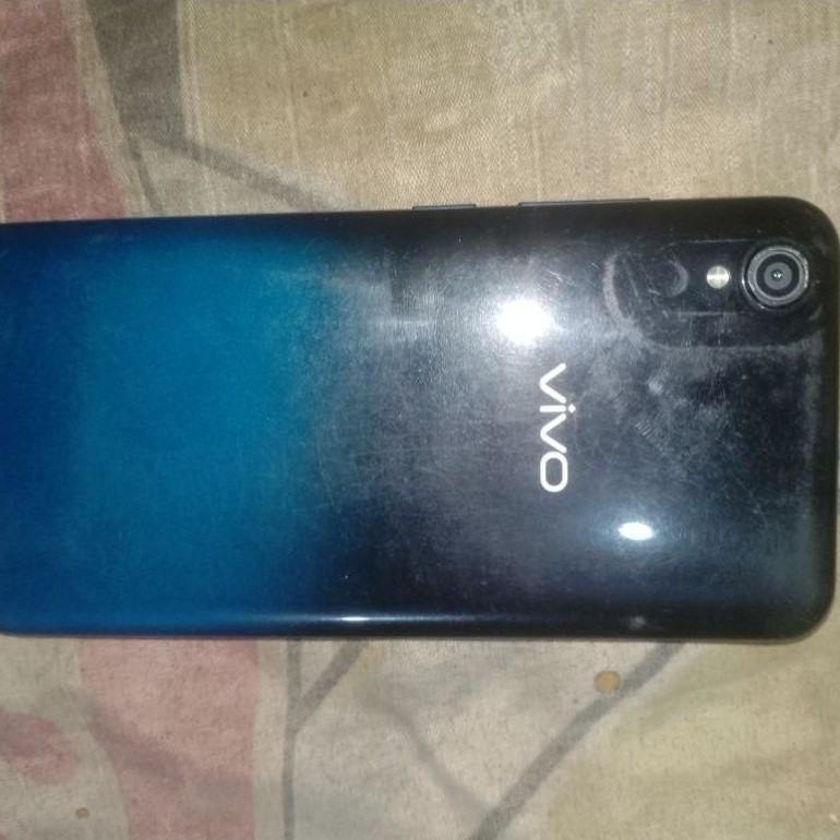 vivo Y91 c mati mulus