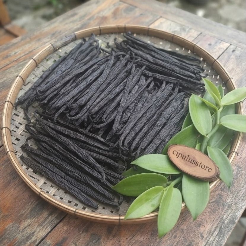 Buah vanilli kering atau vanilla kering, di keringkan alami pilihan 2/5/10