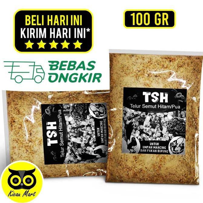 Kicau Mart Telur Pua Tsh Telur Semut Hitam Pakan Burung Serbuk Poa Pengi Kroto Pakan Makanan Burung 