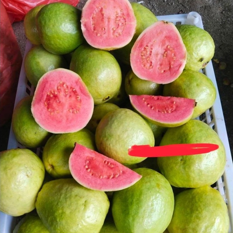 jambu merah 1kg