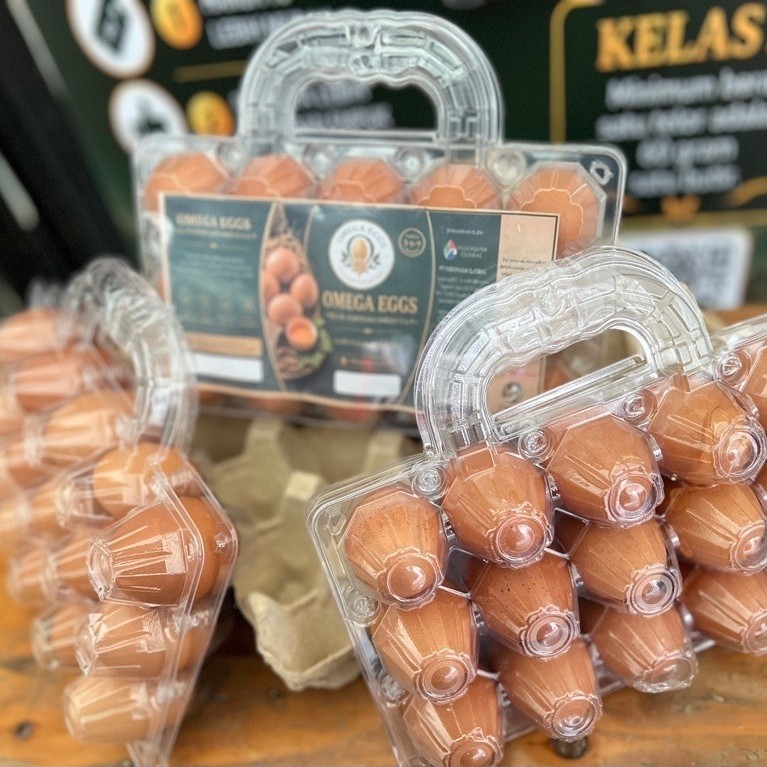 telur omega 3 6 9