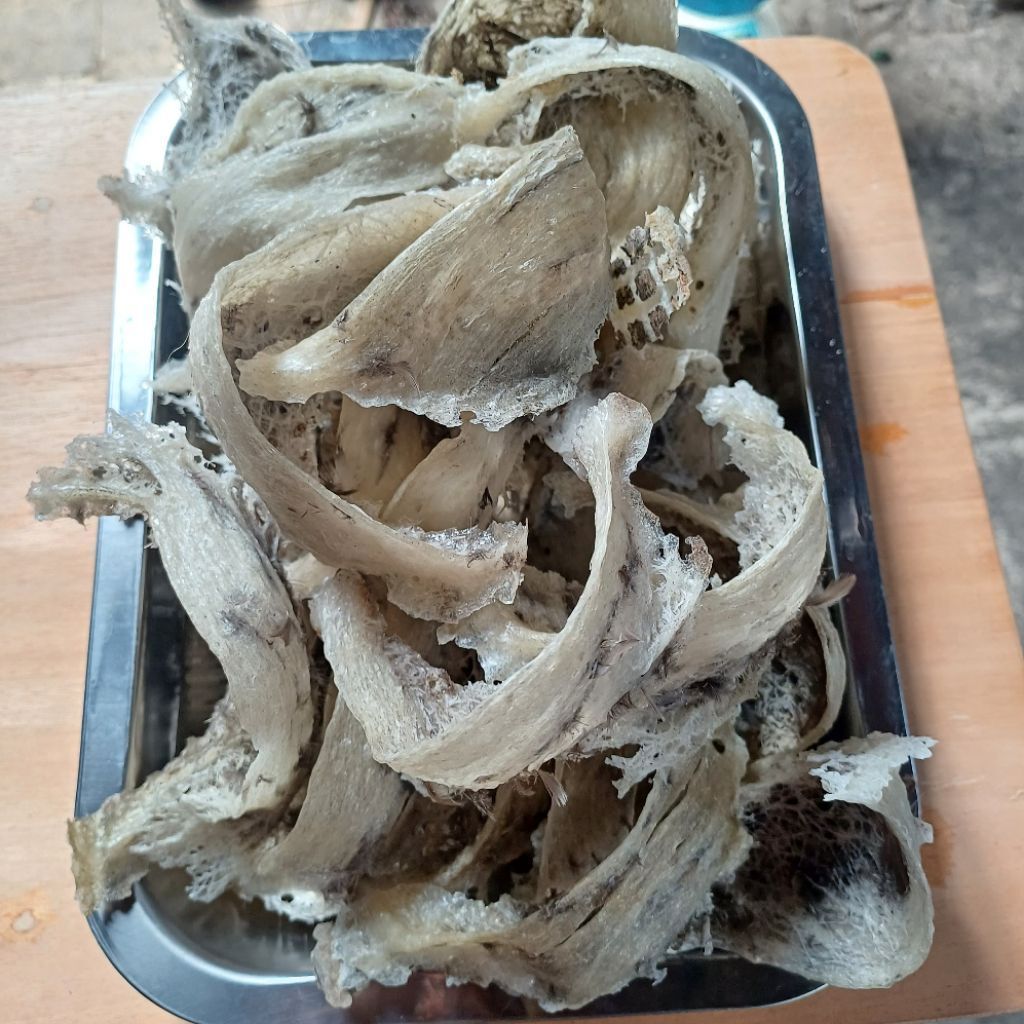 Sarang Walet Mangkok