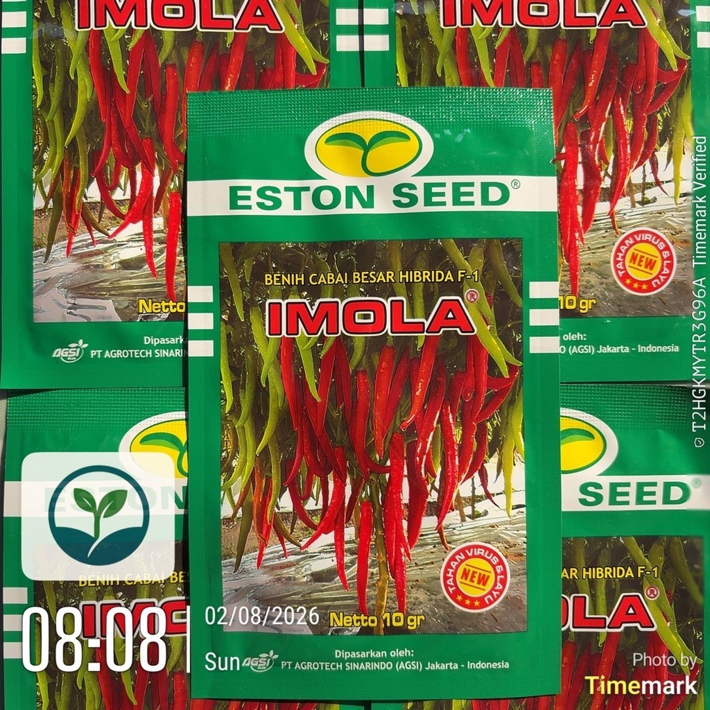 BENIH IMOLA CABAI BESAR HIBRIDA F1 10 GRAM - EXP DATE 21 OKTOBER 2027