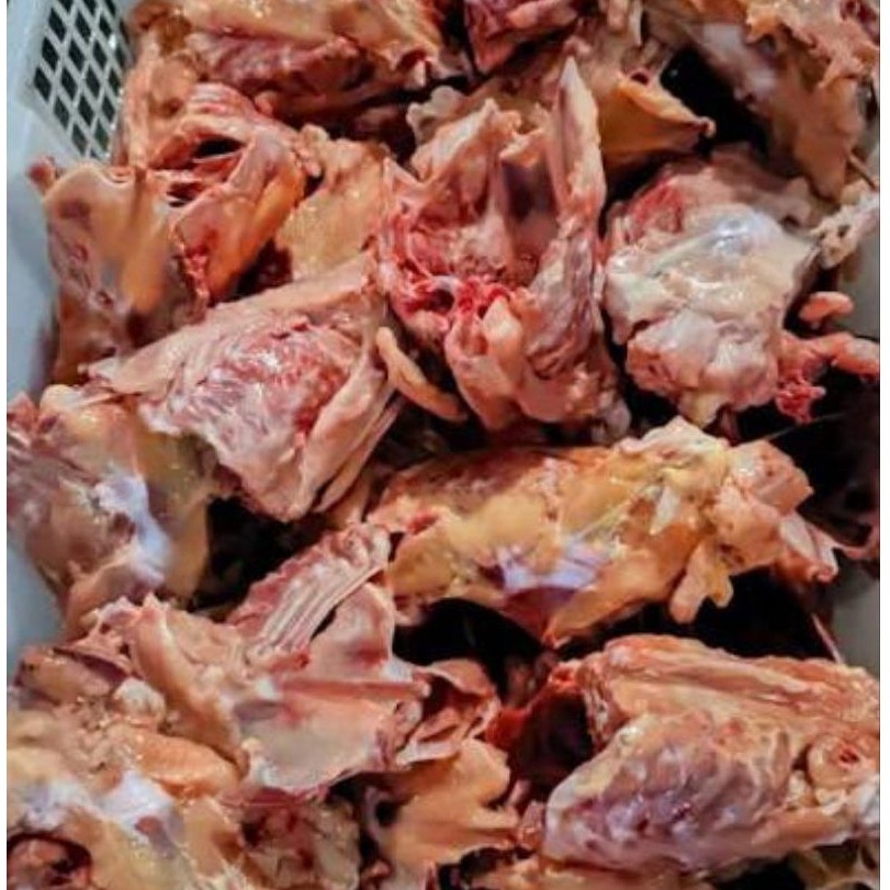 tulang Ayam Baru untuk Seblak, Kualitas Segar Rasa Mantap