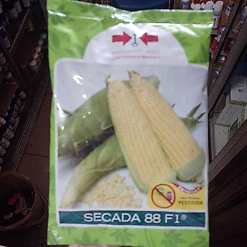 [TERLARIS] benih jagung manis SCADA 88 F1 isi 1.750 butir cap panah merah