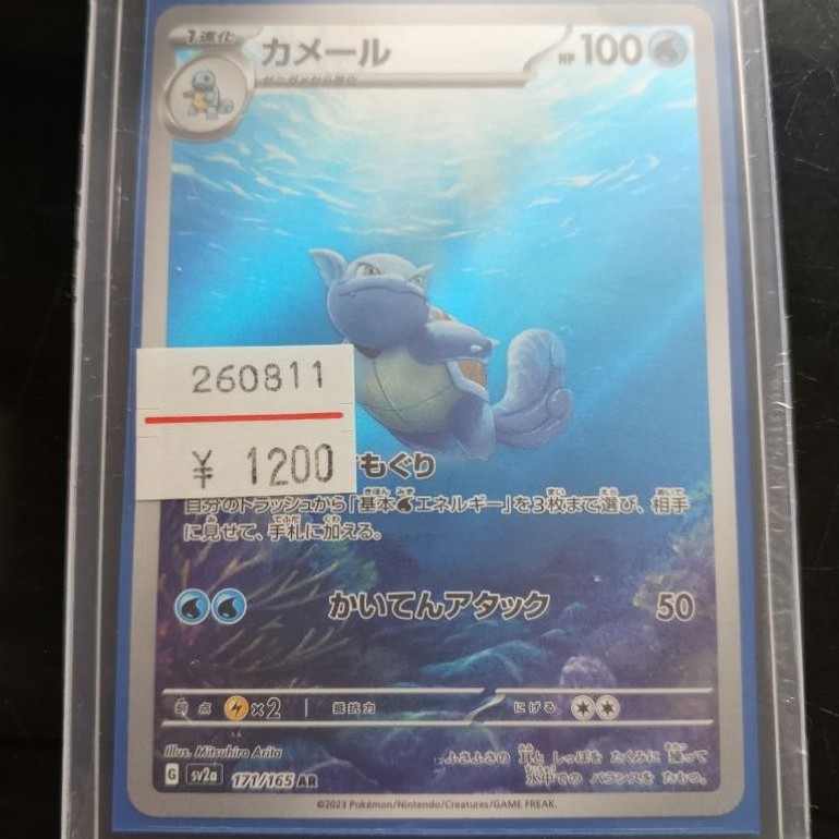 Pokemon Wartortle AR jp