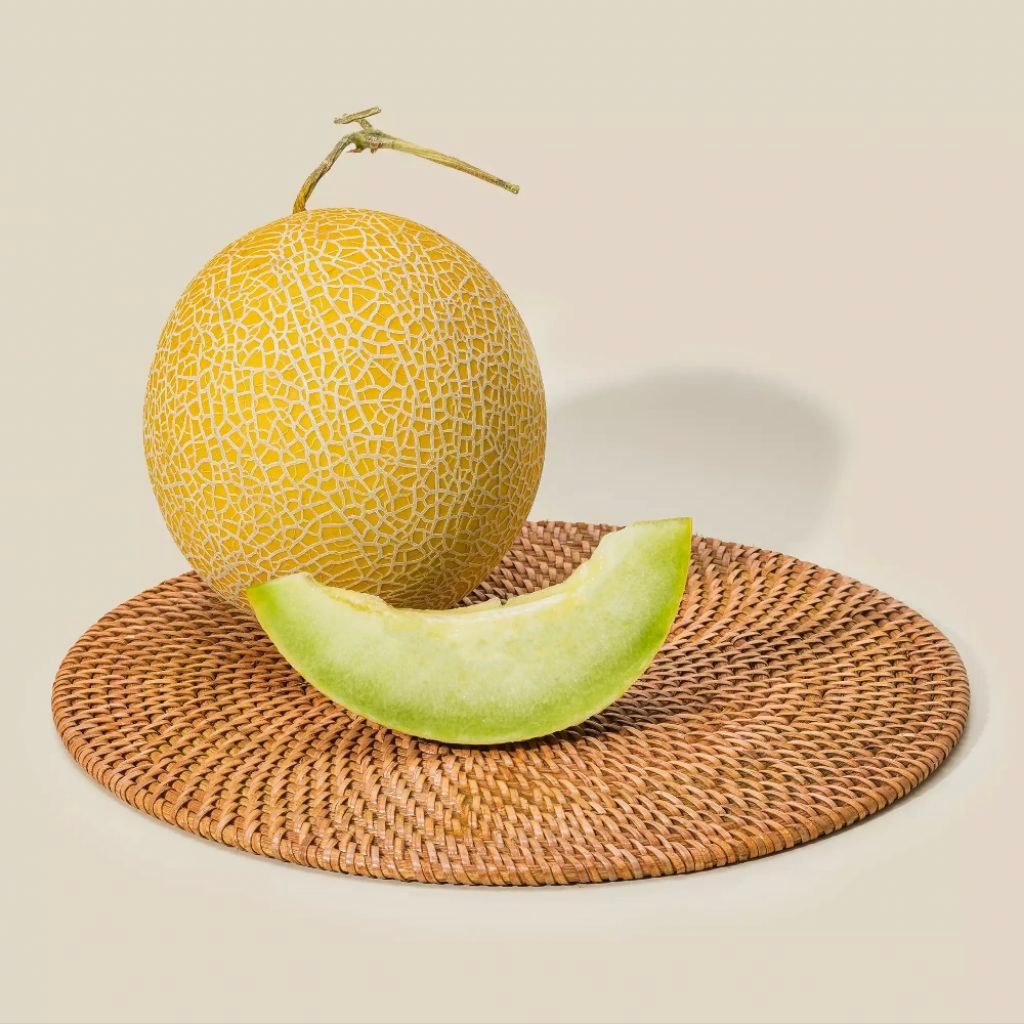 melon intanon premium hidroponik