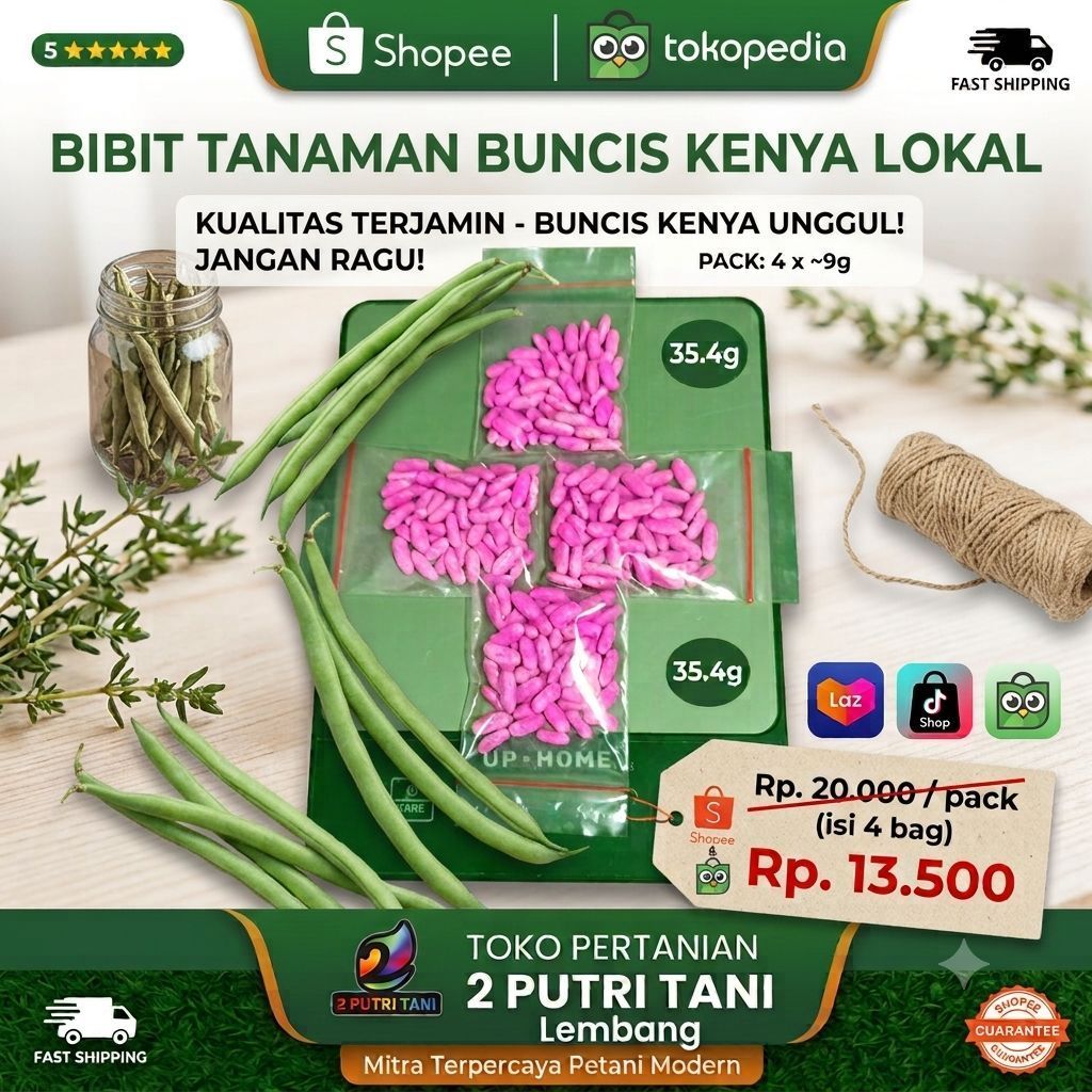 BENIH BUNCIS KENYA LOKAL LEMBANG