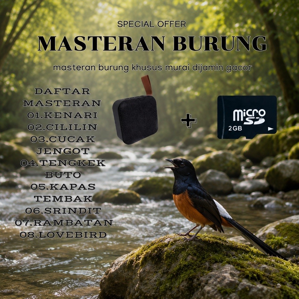 MEMORI MASTERAN BURUNG KHUSUS MURAI