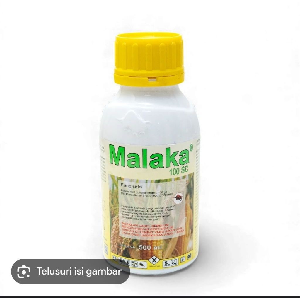 Malaka 100 SC Fungisida Jamur Tanaman Sistemik