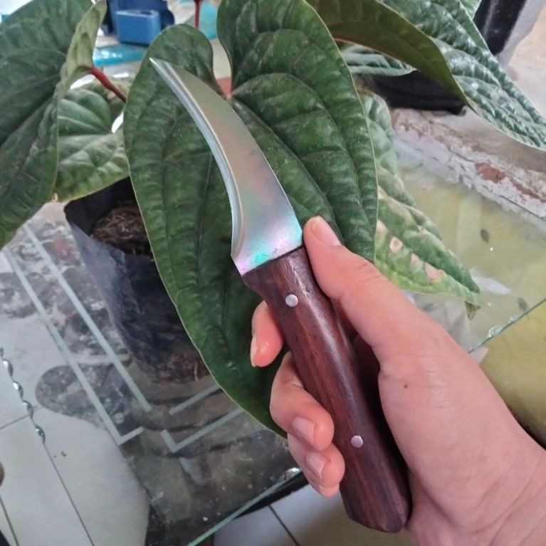 Pisau Grafting HSS dmo5/ Pisau Raut Layangan