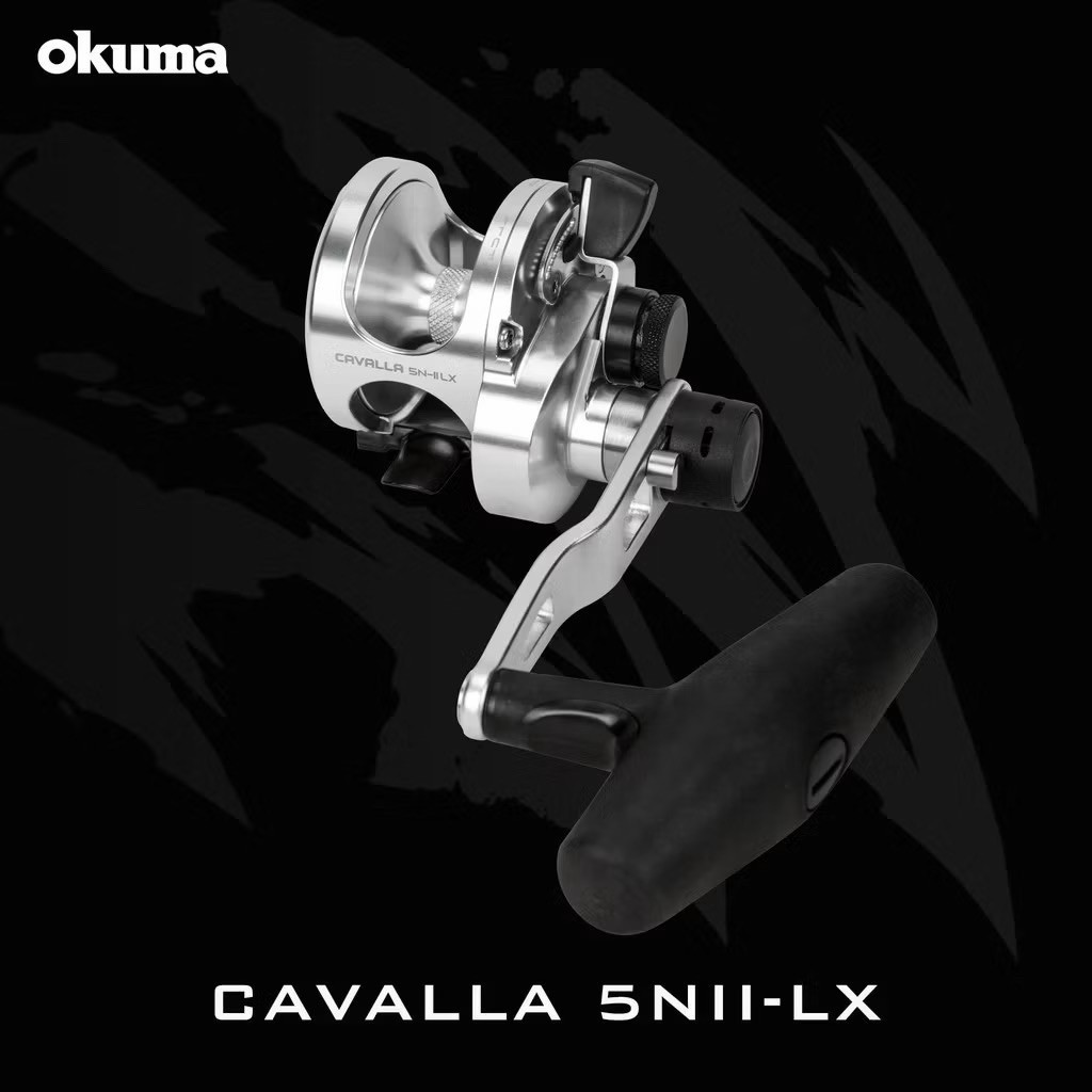 Reel Okuma CAVALLA CAV 5N-IILX OVERHEAD  - Left Handle (handle kiri)