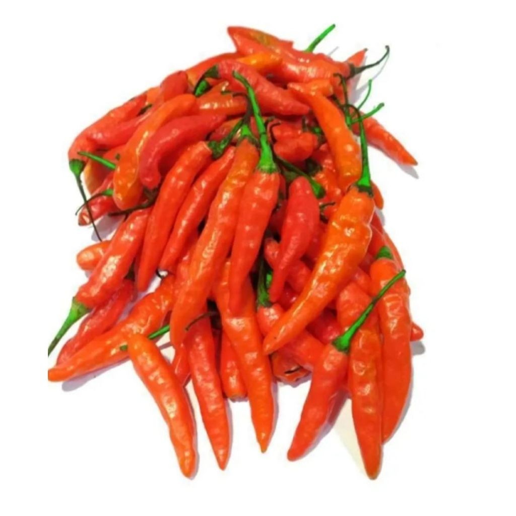 cabe caplak