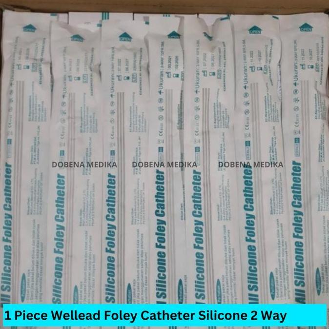 Foley Catheter Wellead Silicone 2 Way No 6 8 10 12 14 16 18 20 22 24