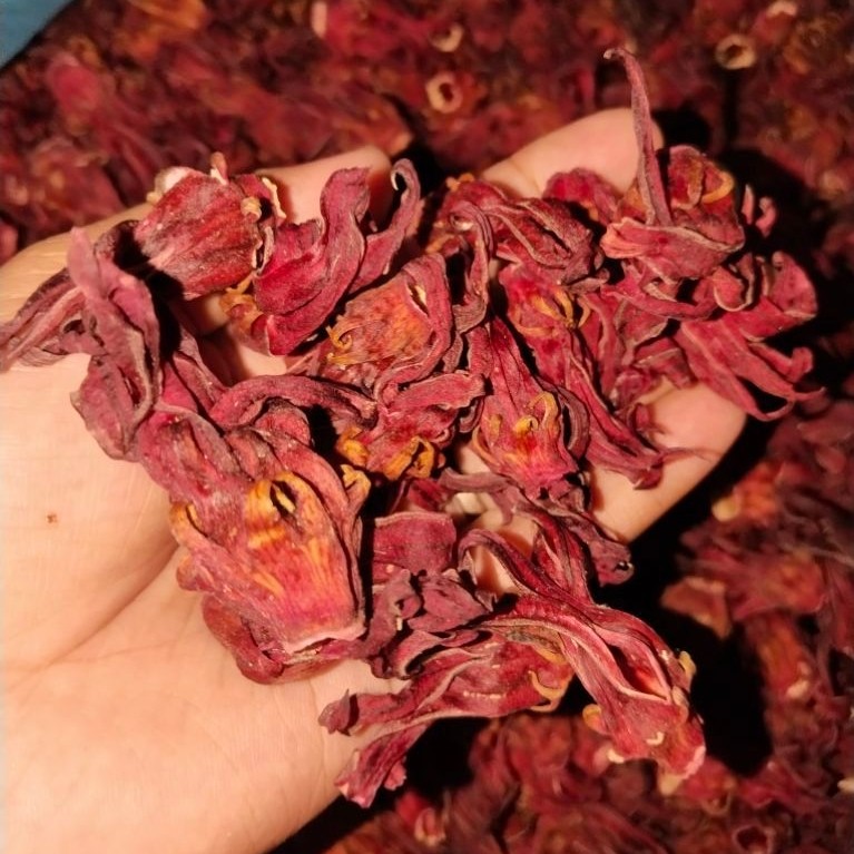 Rosella kering 10 gram Teh bunga rosella kering