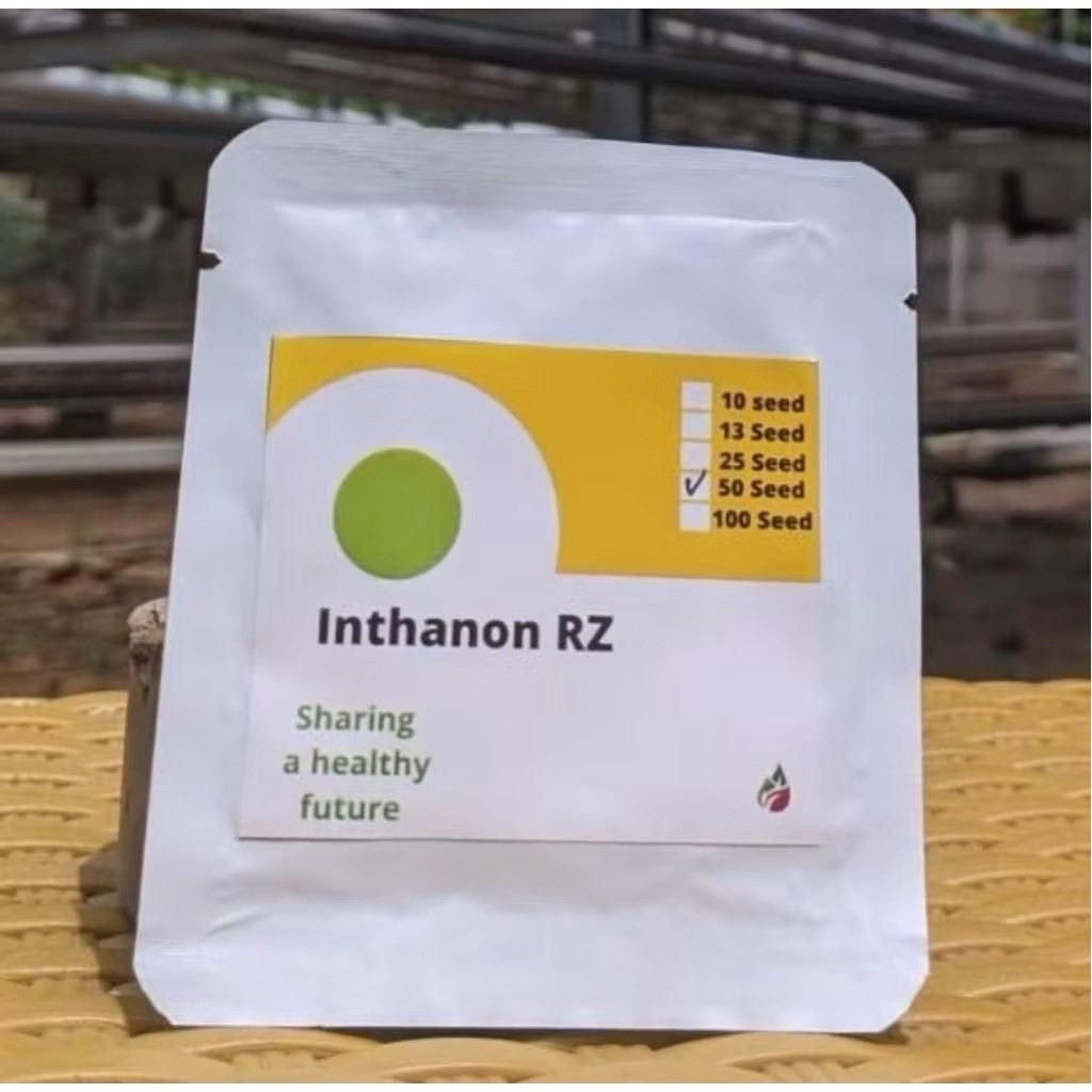 Benih Melon Inthanon Rz Repack - 50 Seed Inthanon original