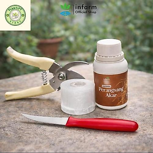 - Paket Grafting Tool Set, Paket Lengkap Peralatan Stek Tanaman Nutrisi Perangsang Akar Gunting Daha