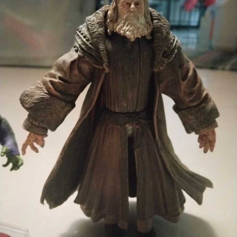 Lord of the Rings Action Figure