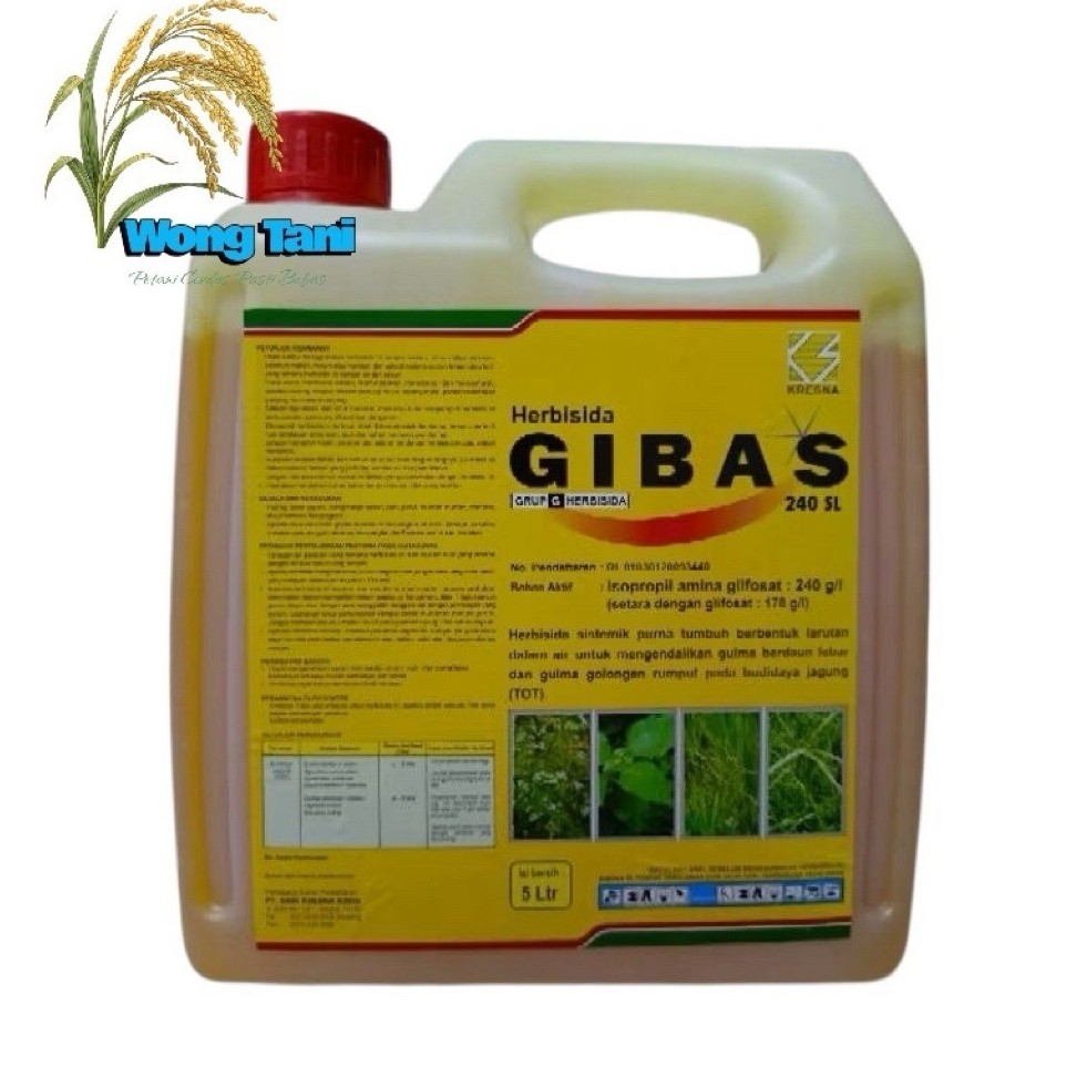 GIBAS 240 SL 5LTR