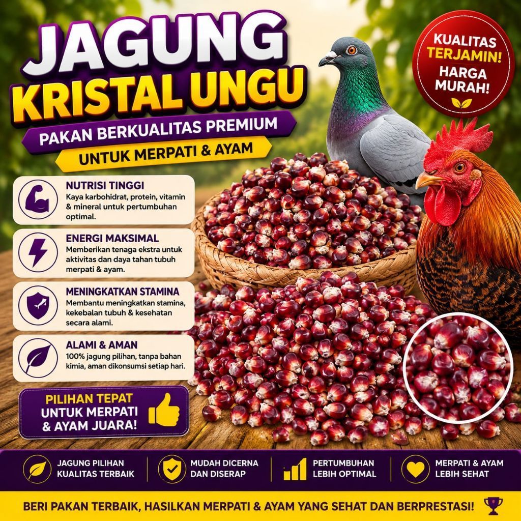 jagung kecil manggis/jagung ungu/kuning/campur pakan burung/ayam/ternak/murah super kering.