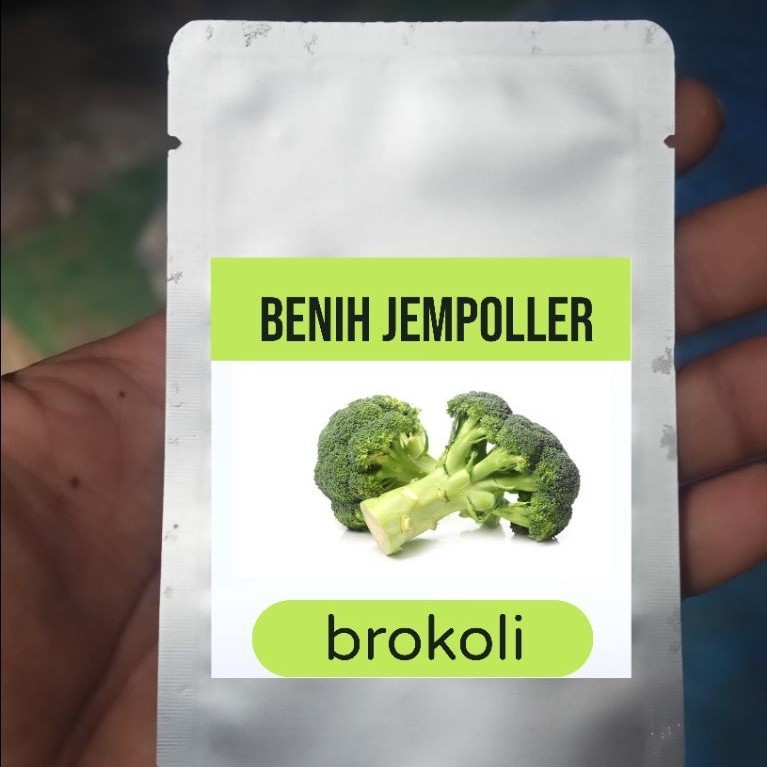 benih brokoli benih jempoller