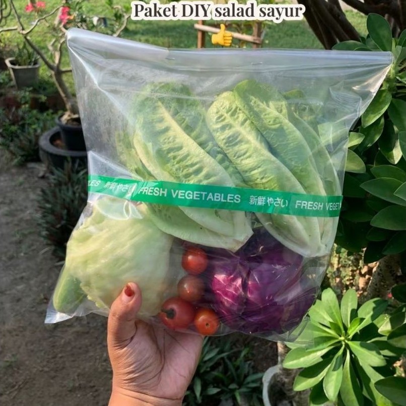 Paket salad sayur lengkap salad premium salad sayur sultan
