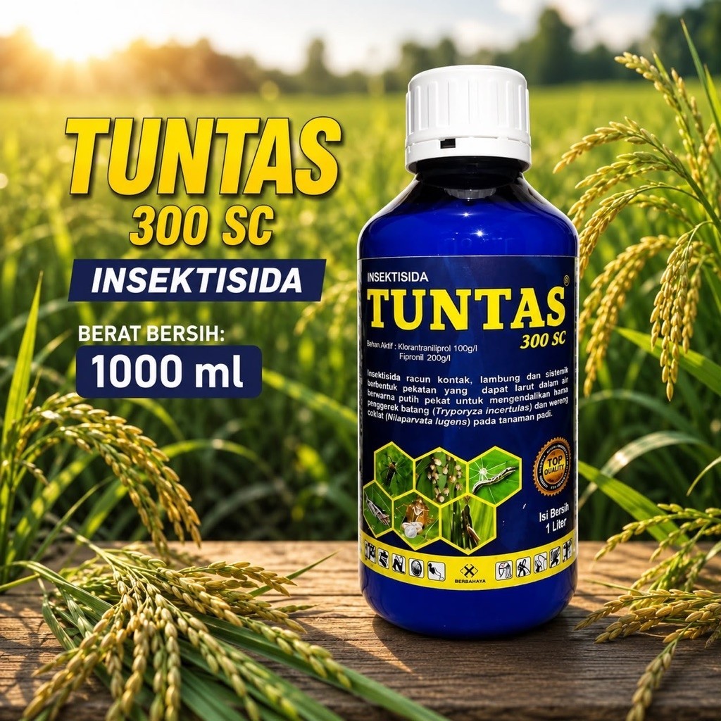 TUNTAS 300 SC 1000ml Insektisida Klorantraniliprol 100g/L + Fipronil 200g/L | Obat Hama Padi Wereng 