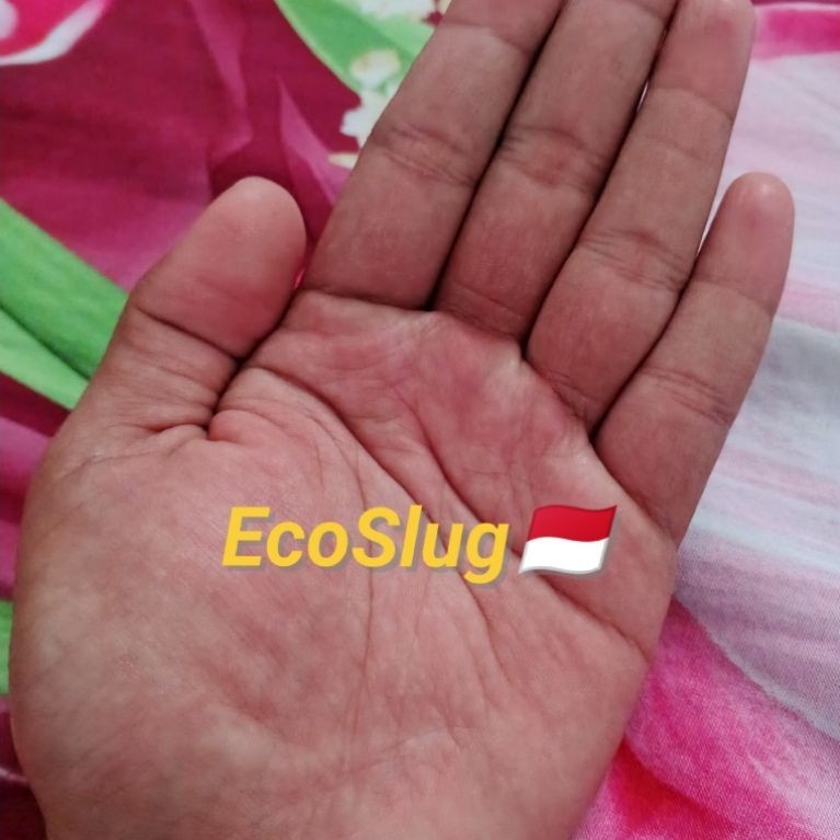 Buku EcoSlug