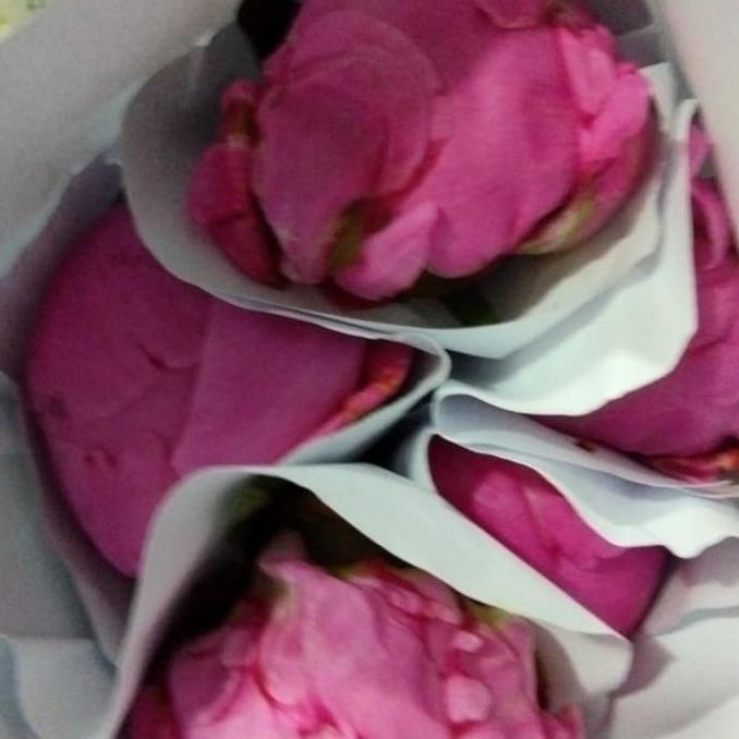 Bunga Peony Asli Fresh