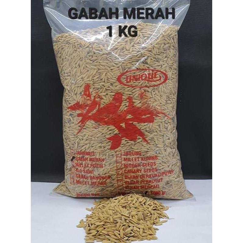 :=:=:=:=] UNIQUE UNIK GABAH MERAH 1 KG UNTUK LOVEBIRD AYAM PERKUTUT TEKUKUR