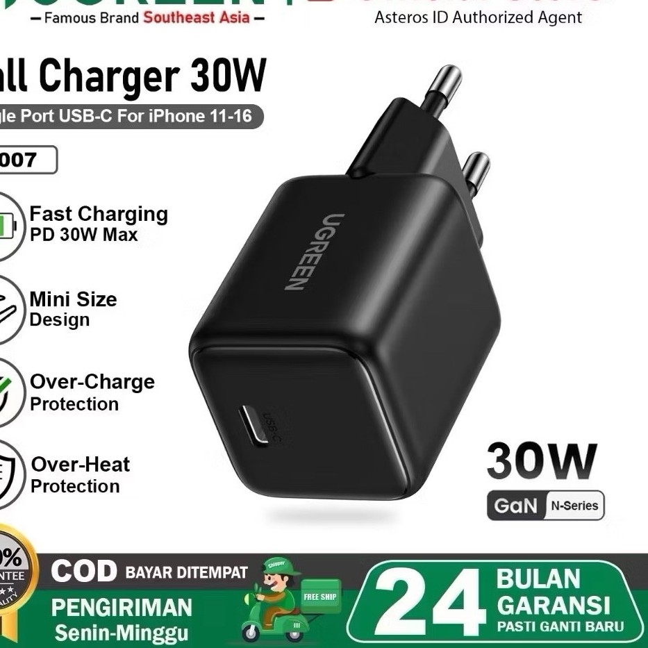 UGREEN KEPALA BATOK FAST CHARGER 30 WATT TYPE C