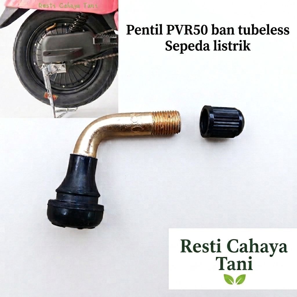 PVR50 pentil ban tubeless sepeda listrik dop tubles
