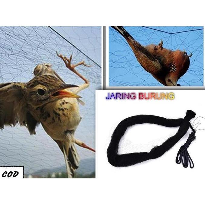 Rajagacor- Jala Burung Pukat Burung Jebakan