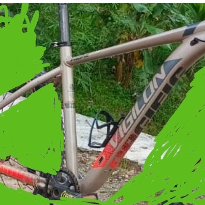 frame set pasific vigilion 4.1