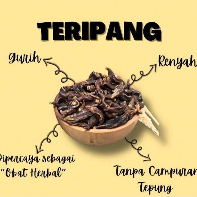 Kerupuk Tripang Asli Renyah 200gr-250gr Laut Snacks Krupuk Kering